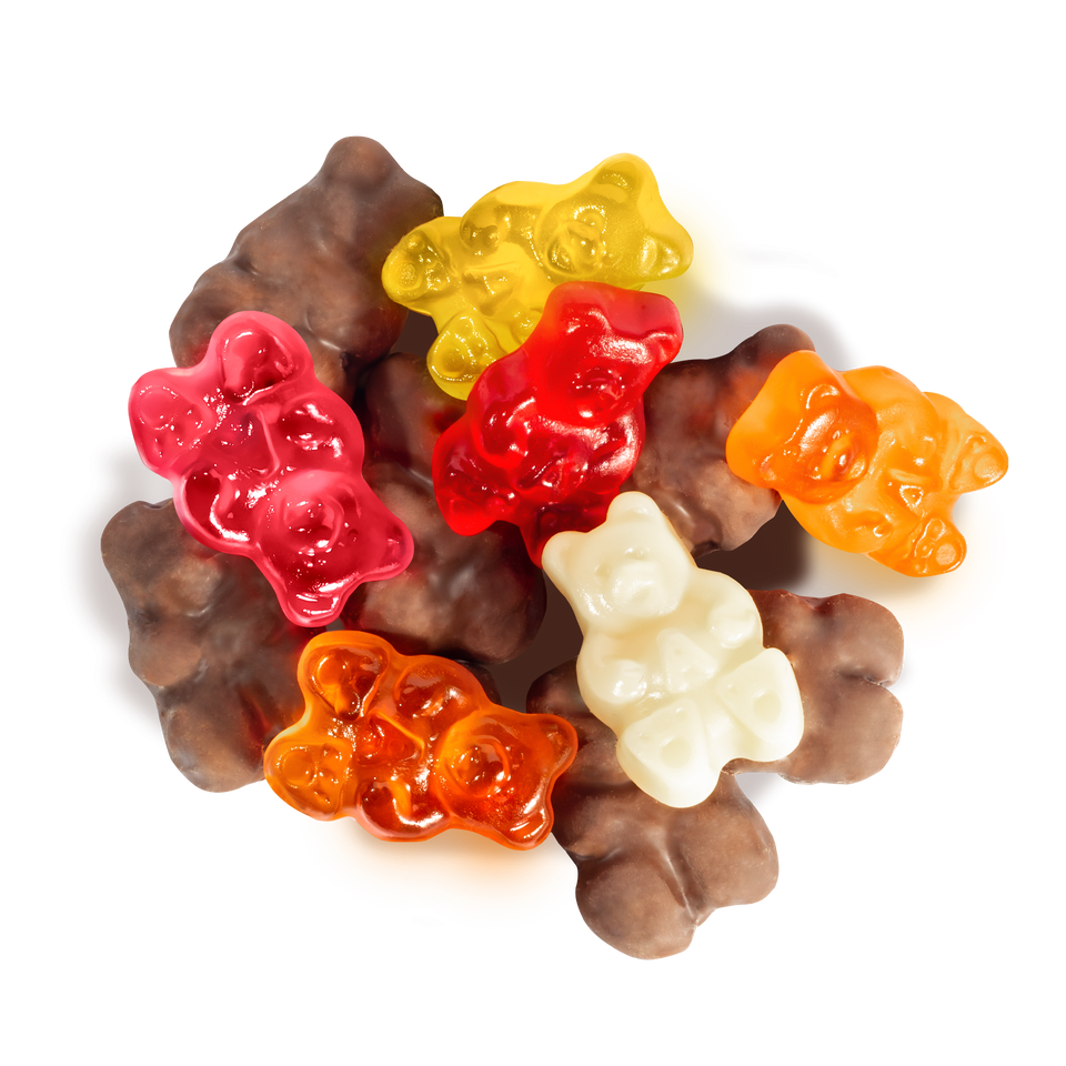 Chocolate Covered Gummie Bears (2lbs)