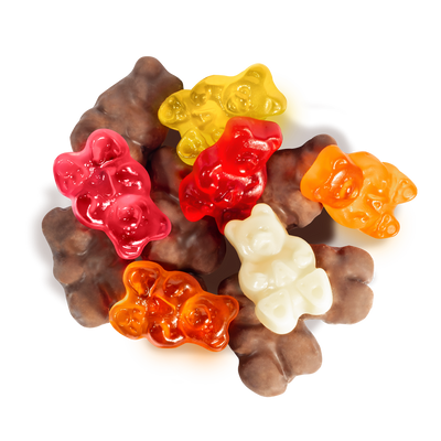 Chocolate Covered Gummie Bears (2lbs)